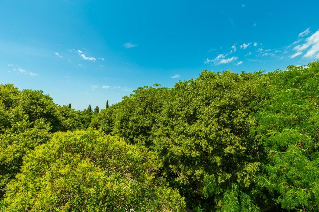 Ferienwohnung Hedera Estate, Hedera A1 Dubrovnik Exterior foto
